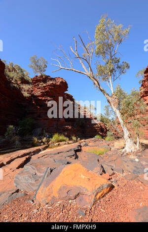 Kalamina Gorge, Karijini-Nationalpark, Pilbara, Western Australia, WA, Australien Stockfoto