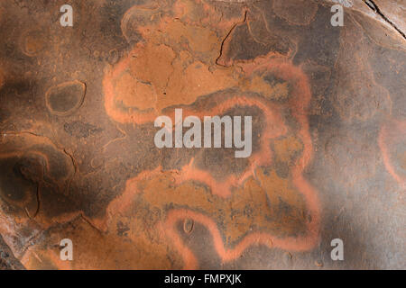 Details von Mustern in roten Felsen, Kalamina Gorge, Karijini National Park, Pilbara, Western Australia, WA, Australien Stockfoto