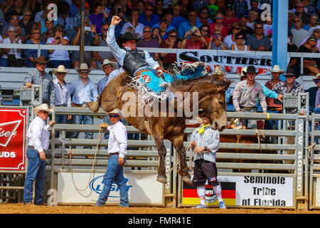 Florida, USA. 12. März 2016. Tausende von Rodeo Enthusiasten erwies sich der 88. Arcadia Rodeo WM in Florida mit Ereignissen z. B. Reiten ohne Sattel, beobachten steer wrestling, Mutton Bustin ', und nach unten Abseilen. Bildnachweis: Findlay/Alamy Live-Nachrichten Stockfoto