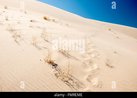 Eine Reihe von Fuß druckt Blei über Eureka Valley Sanddünen im Death Valley Nationalpark, Kalifornien Stockfoto