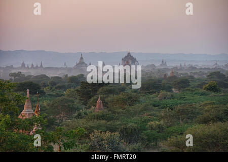 Dhammayangyi Tempel erhebt sich über die Prärie, Bagan, Myanmar Stockfoto