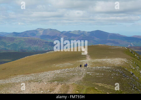 Wanderer auf dem Weg zum Hellvellyn Gipfel von Thirlmere - Lake District, England, UK Stockfoto