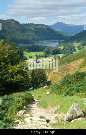 Blick hinunter Thirlmere Reservoir von Route zum Hellvellyn Gipfel - Seenplatte, UK Stockfoto