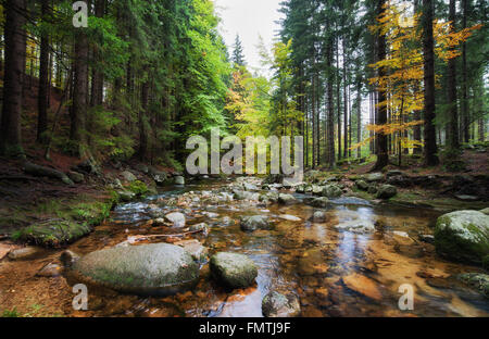 Bergbach im Herbst Landschaft der Berge, Nationalpark Riesengebirge, Polen Stockfoto