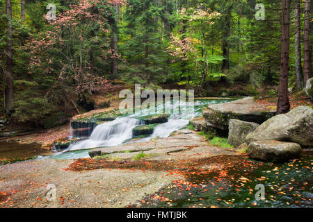 Creek im herbstlichen Bergwald Stockfoto