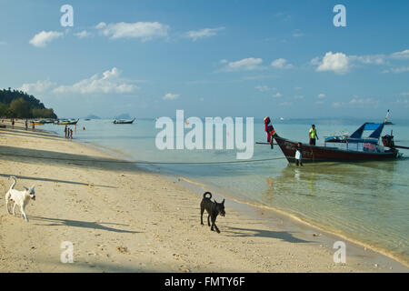 Longtail-Boot wartet auf Kunden in Thailand Stockfoto