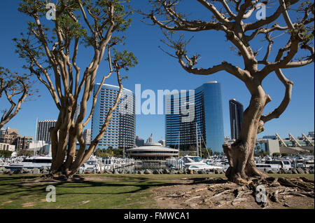 Embarcadero Marina Park Nord, San Diego Kalifornien USA Stockfoto