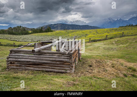 Alten Wyoming Homestead Teton Nationalpark Stockfoto