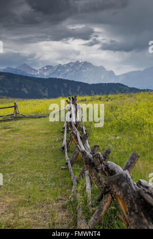 Alten Wyoming Homestead Teton Nationalpark Stockfoto