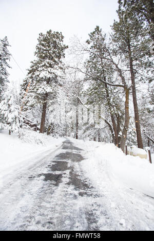 Eisige Straßen von Bäumen führt durch eine Winterlandschaft gefüttert Stockfoto