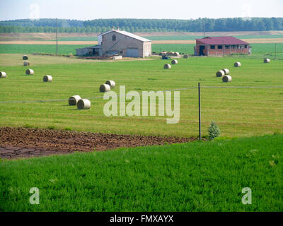 Ballen liegen in einem Bauernhof Feld gerollt. Stockfoto