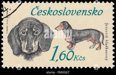 BUDAPEST, Ungarn - 12. März 2016: eine Briefmarke gedruckt in der Tschechoslowakei zeigt Dackel, ca. 1973 Stockfoto