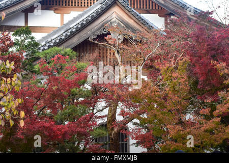 Herbstlaub im Eikando Tempel in Kyoto, Japan Stockfoto