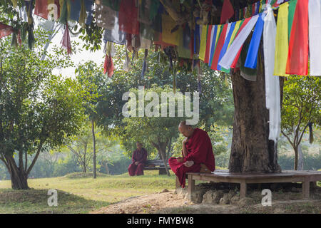 Lumbini, Nepal - 27. November 2014: Foto der buddhistischen Mönche sitzen unter einem Baum mit Gebet Falgs. Stockfoto