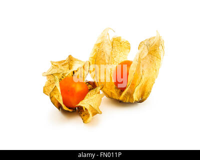 Nahaufnahme des Cape Gooseberry isoliert auf weißem Hintergrund Stockfoto