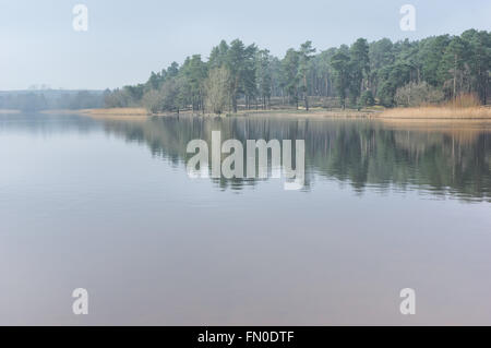 Eine ruhige, nebligen Morgen um Frensham Teiche, Surrey Stockfoto