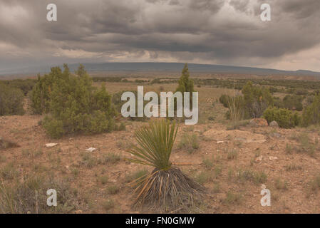 Sturm Wolken über der westlichen Colorado-Wüste. Stockfoto