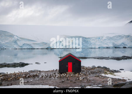Antarktis, antarktische Halbinsel, Port Lockroy, alten britischen Stützpunkt Stockfoto