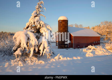 Raynes farm-Erhaltung land im Winter nach Schnee Sturm, Exeter, New Hampshire, USA Stockfoto