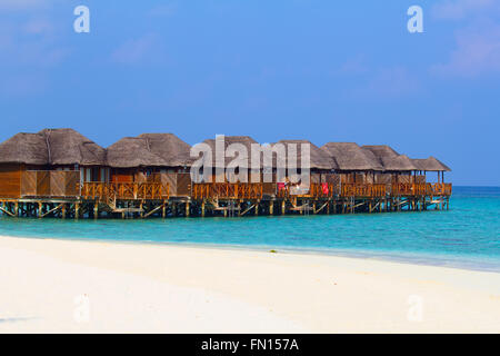 Malediven Insel. Paradies in den Tropen. Stockfoto