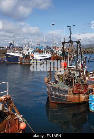 Angelboote/Fischerboote vertäut im Hafen von Mallaig, Lochaber, Schottland Highland Stockfoto