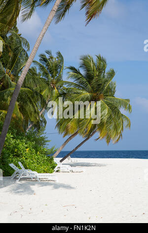 Malediven Insel. Paradies in den Tropen. Stockfoto