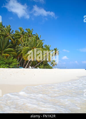 Malediven Insel. Paradies in den Tropen. Stockfoto