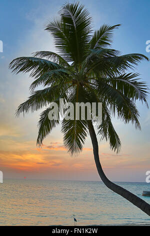 Sonnenuntergang über Malediven Insel. Paradies in den Tropen. Stockfoto