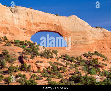 Wilson-Bogen in der Nähe von Moab, utah Stockfoto