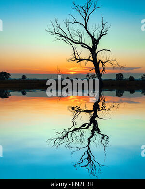 Sonnenuntergang, Tre spiegelt sich in den stillen Wassern des Sees Stockfoto