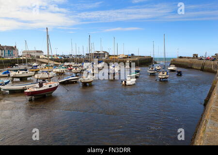 Gestrandete Boote bei Ebbe im Hafen von Aberaeron Stockfoto