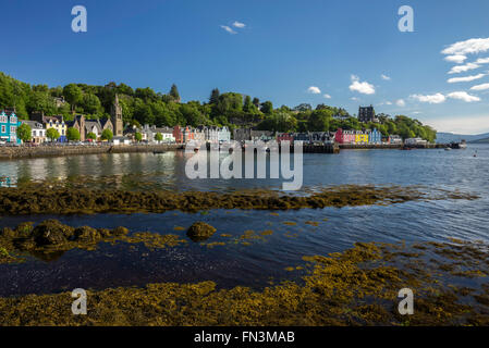 Malerische bemalten Häusern in den Hafen von Tobermory auf der Isle of Mull, Inneren Hebriden, Schottland Stockfoto