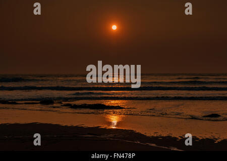 Booby Bay, Konstantin, UK. 13. März 2016. Großbritannien Wetter: Glourious Abendsonne in Cornwall. Glourious Wetter an der Cornish Küste, Rich Golden Abend Sonne. Bildnachweis: Barry Bateman / Alamy Live News Stockfoto