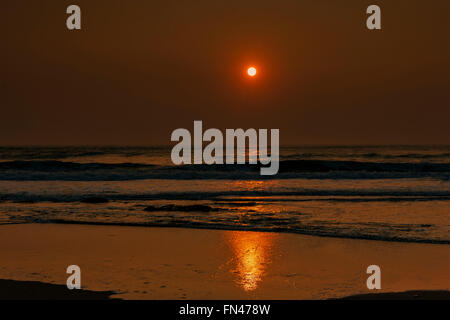 Booby Bay, Konstantin, UK. 13. März 2016. Großbritannien Wetter: Glourious Abendsonne in Cornwall. Glourious Wetter an der Cornish Küste, Rich Golden Abend Sonne. Bildnachweis: Barry Bateman / Alamy Live News Stockfoto