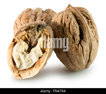 Walnüsse auf dem weißen Hintergrund isoliert. Stockfoto