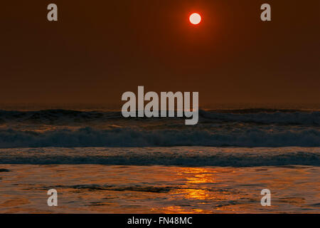 Booby Bay, Konstantin, UK. 13. März 2016. Großbritannien Wetter: Glourious Abendsonne in Cornwall. Glourious Wetter an der Cornish Küste, Rich Golden Abend Sonne. Bildnachweis: Barry Bateman / Alamy Live News Stockfoto