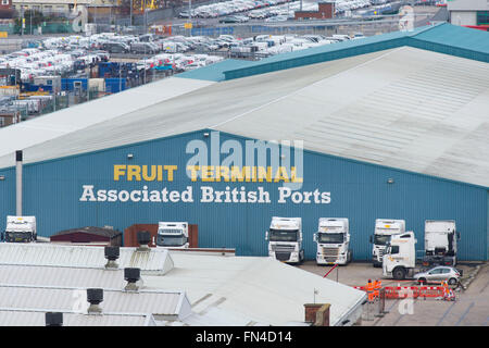 Die britische Häfen ABP Obst terminal in Southampton, England. Stockfoto