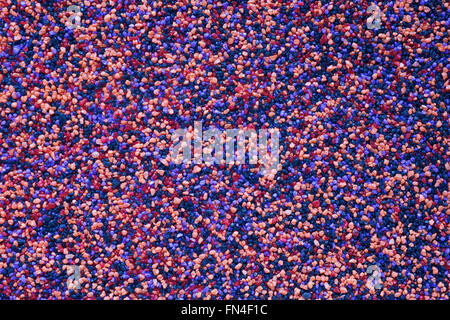 Nahaufnahme von farbigen Sand Hintergrund. Aquarium oder das Meer unten Stockfoto