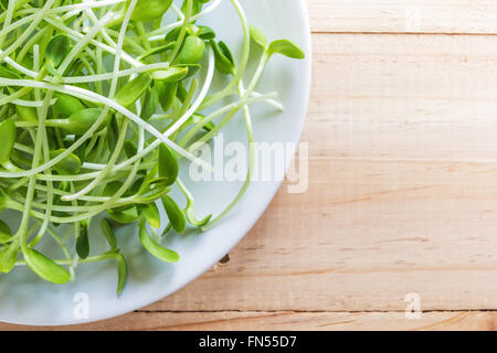 Ein Foto der Sonnenblume Sprossen in weißen Schale auf Holztisch Stockfoto