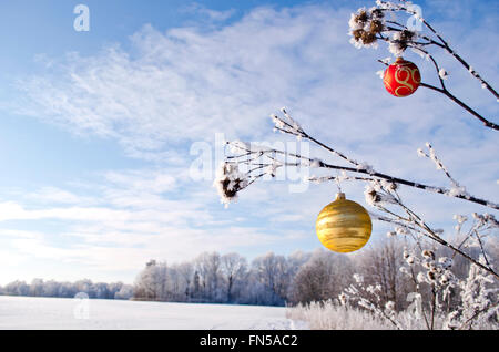 Winterlandschaft mit Ornament Weihnachtsspielzeug Gras Stengel Stockfoto