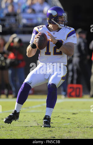 23. November 2008 - Jacksonville, Fla, USA - Minnesota Vikings quarterback Gus Frerotte (12) während der Wikinger-Spiel gegen die Jacksonville Jaguars in Jacksonville Municipal Stadium am 23. November 2008 in Jacksonville, Florida                       ZUMA Press/Scott A. Miller (Kredit-Bild: © Scott A. Miller über ZUMA Draht) Stockfoto