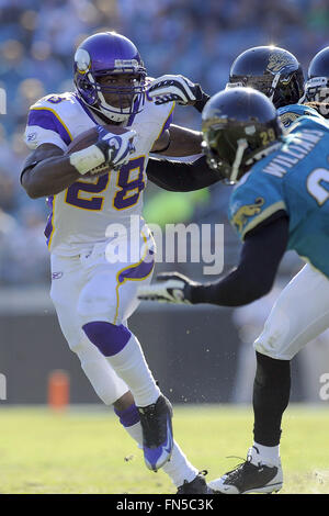 23. November 2008 - Jacksonville, Fla, USA - Minnesota Vikings Runningback Adrian Peterson (28) während die Wikinger-Spiel gegen die Jacksonville Jaguars in Jacksonville Municipal Stadium am 23. November 2008 in Jacksonville, Florida                       ZUMA Press/Scott A. Miller (Kredit-Bild: © Scott A. Miller über ZUMA Draht) Stockfoto