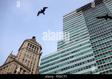 Möwen fliegen vor kontrastierenden NYC Gebäude (2 und 26 Broadway), New York City, NY, USA Stockfoto