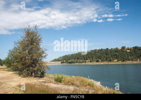 Quipolly Damm, Bereitstellung von Wasser für Kleinstadt Werris Creek. nördlichen NSW Australia Stockfoto