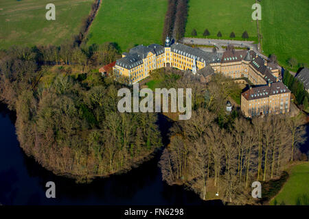 Luftaufnahme, Wildgänse im Natuschutzgebiet auf Haus Aspel, Naturschutzgebiet, Aspeler Meer, Seen mit Türkisfarbenenm Wasser Rees Stockfoto