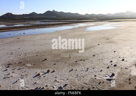 Trocknen Sie natürliche Salzseen (Salinas) an der Küste von Murcia, Spanien Stockfoto