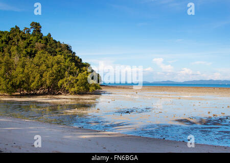 Wunderschöne Thai Küste mit Ebbe Meer Wasser und grünes Laub Stockfoto