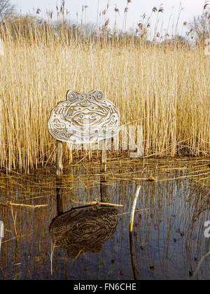 Schilfbeetes und Teich auf der Winnall Mauren Natur Naturschutzgebiet des ehemaligen Auen auf Itchen Flussaue, Winchester. Stockfoto