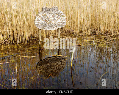 Schilfbeetes und Teich auf der Winnall Mauren Natur Naturschutzgebiet des ehemaligen Auen auf Itchen Flussaue, Winchester. Stockfoto