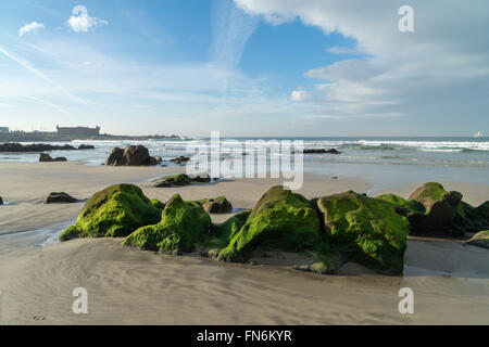 Strand am Küste des Atlantischen Ozean nahe Queijo Burg am Morgen, Porto, Portugal Stockfoto